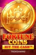 Fortune Coins slot más popular en 789MX COM